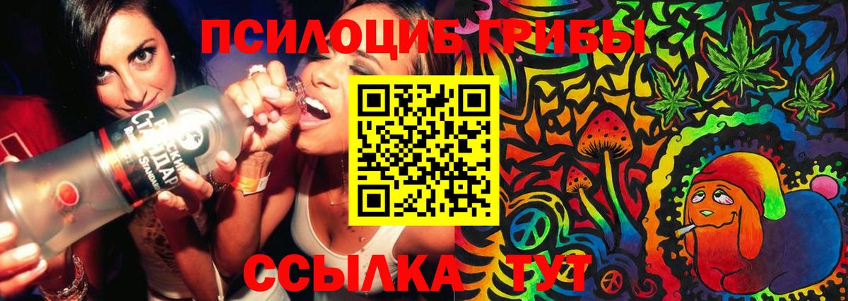 Сосновоборск  Псилоцибиновые грибы Magic Shrooms  Псилоцибиновые грибы Psilocybe  Вход с VPN 