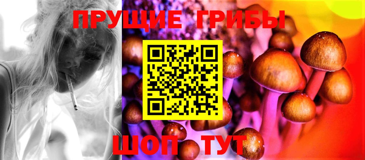 Псилоцибиновые грибы MAGIC MUSHROOMS Сосновоборск